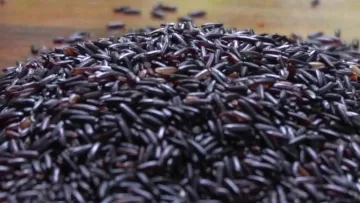 Black Rice